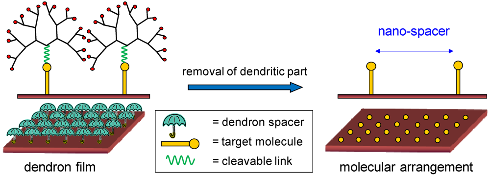 Polymers 04 00355 g013