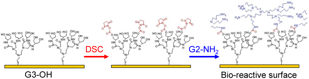 Polymers 04 00355 g014
