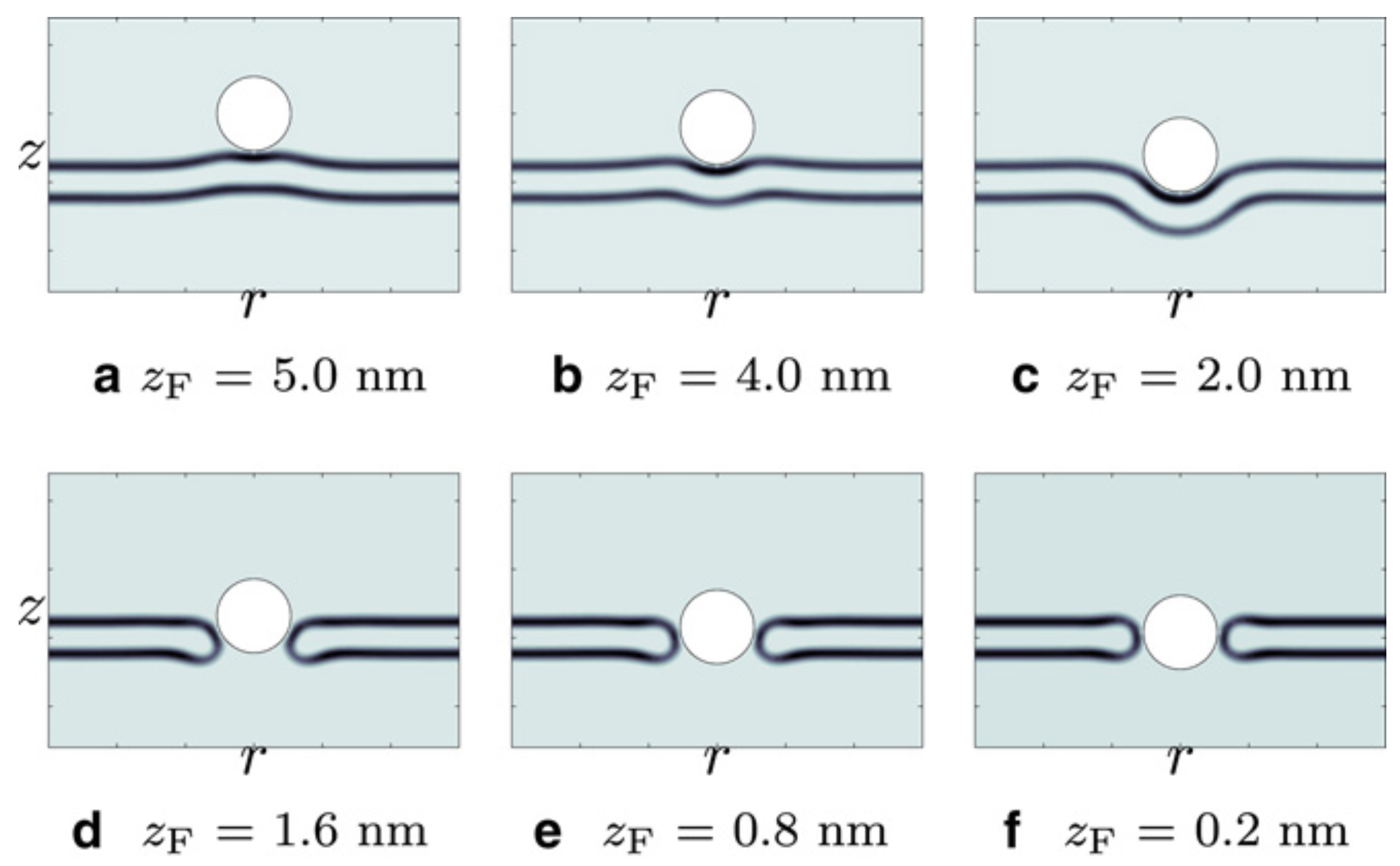 Polymers 04 00463 g007