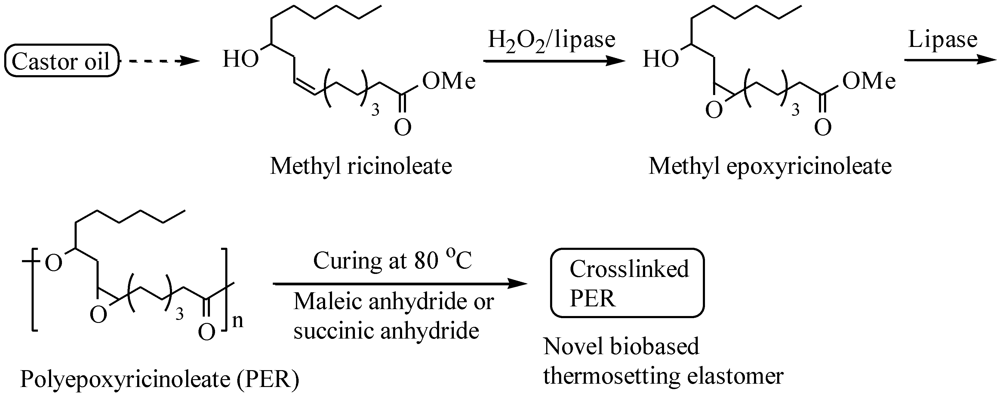 Polymers 04 00486 g001 1024