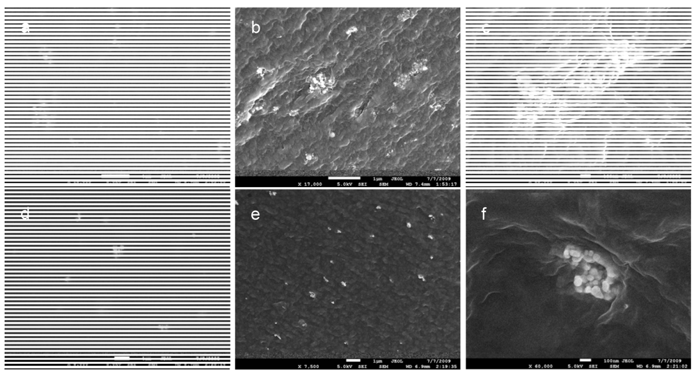 Polymers 04 00590 g003