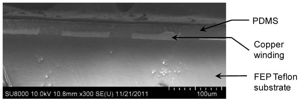 Polymers 04 00656 g003 1024