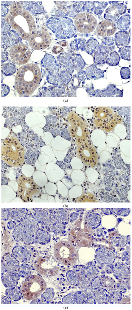 Polymers 04 00691 g001 1024