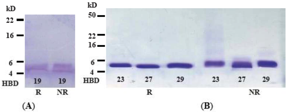 Polymers 04 00747 g002 1024