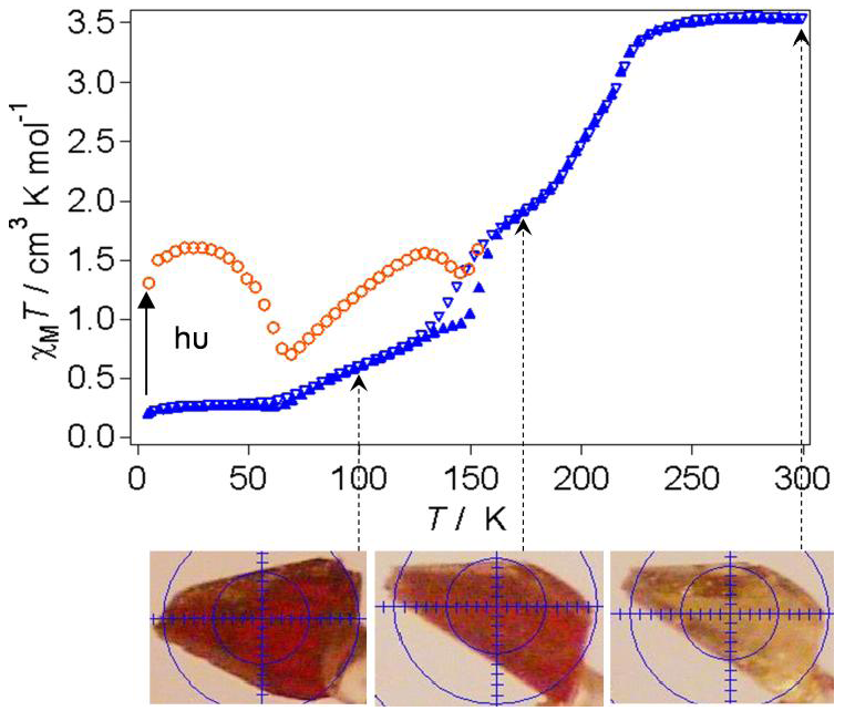 Polymers 04 00880 g003 1024