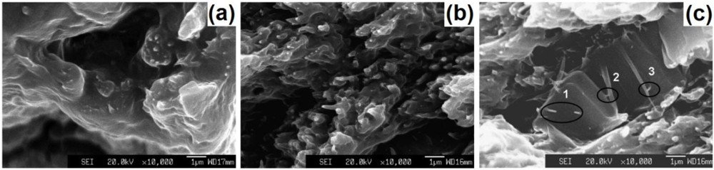 Polymers 04 00889 g001 1024