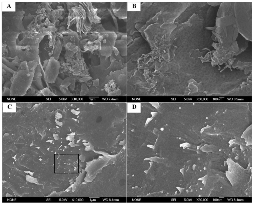 Polymers 04 00889 g002 1024