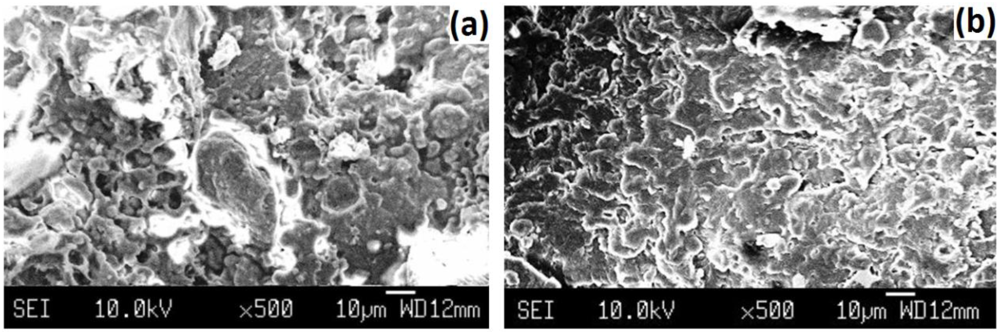 Polymers 04 00889 g006