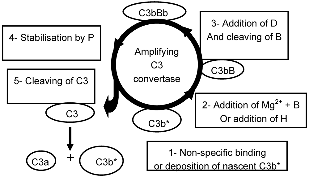 Polymers 04 00986 g001 1024