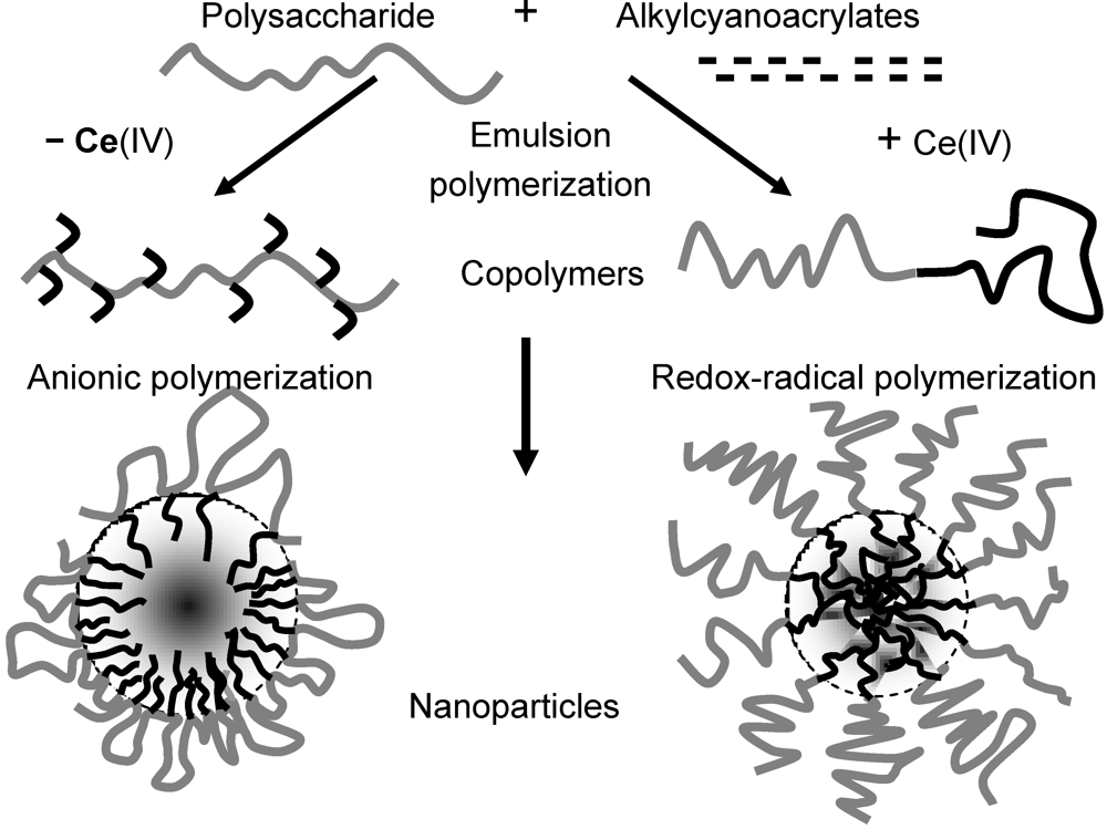 Polymers 04 00986 g003 1024