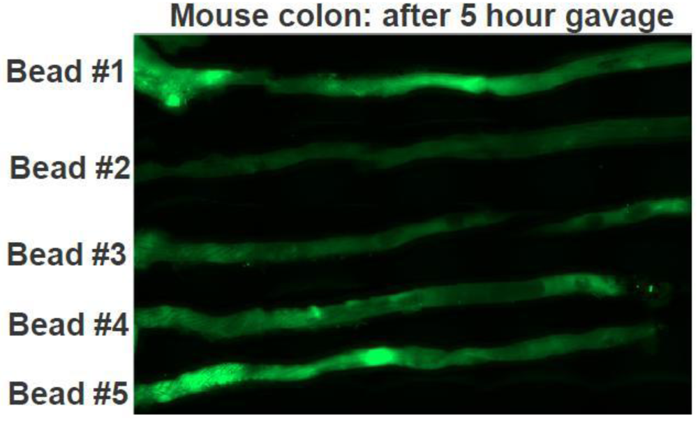 Polymers 04 00997 g004