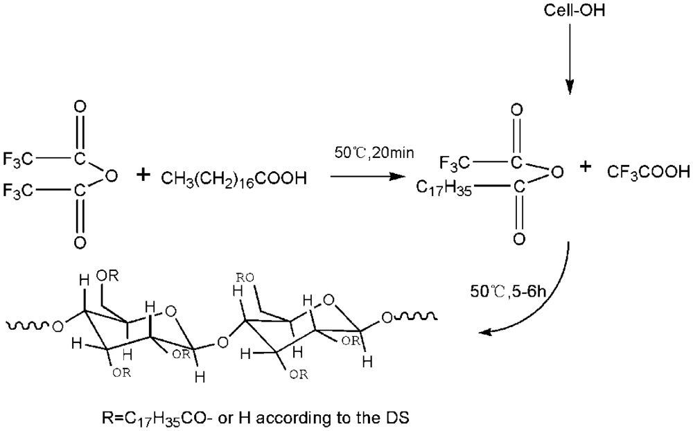 Polymers 04 01012 g001