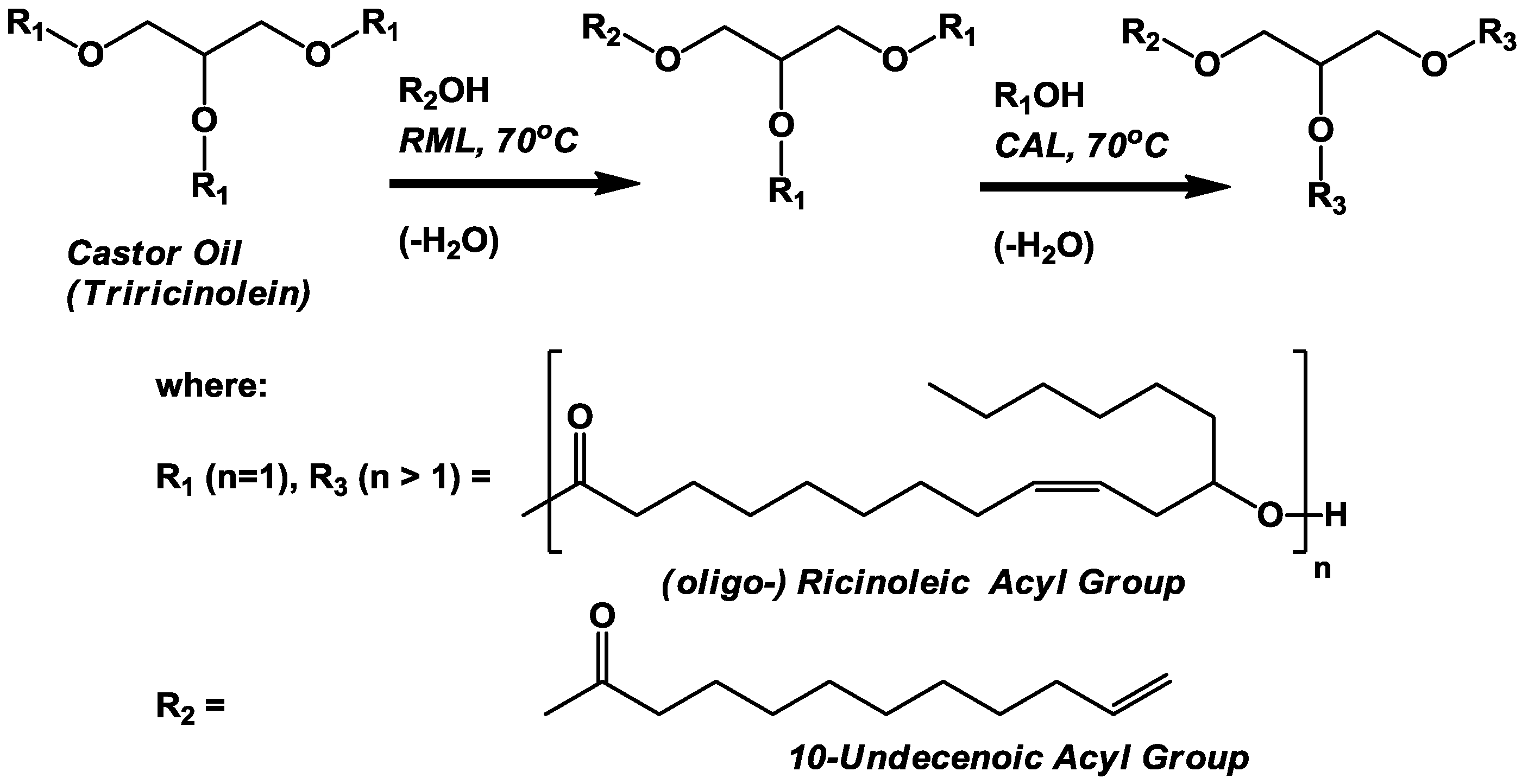 Polymers 04 01037 g003