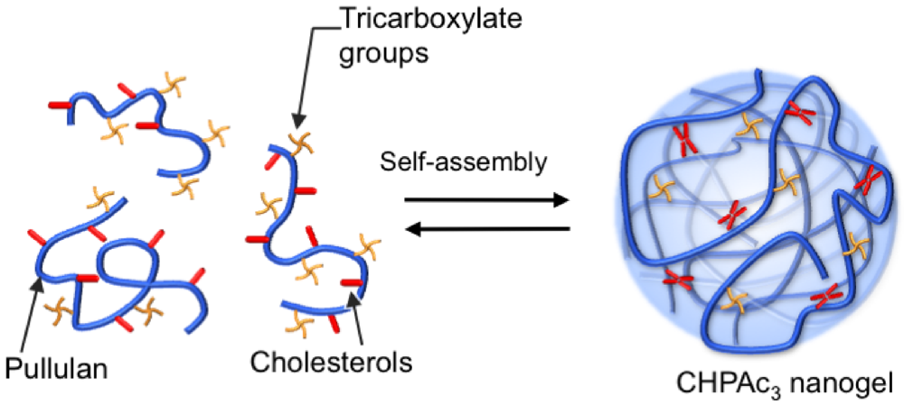 Polymers 04 01056 g001