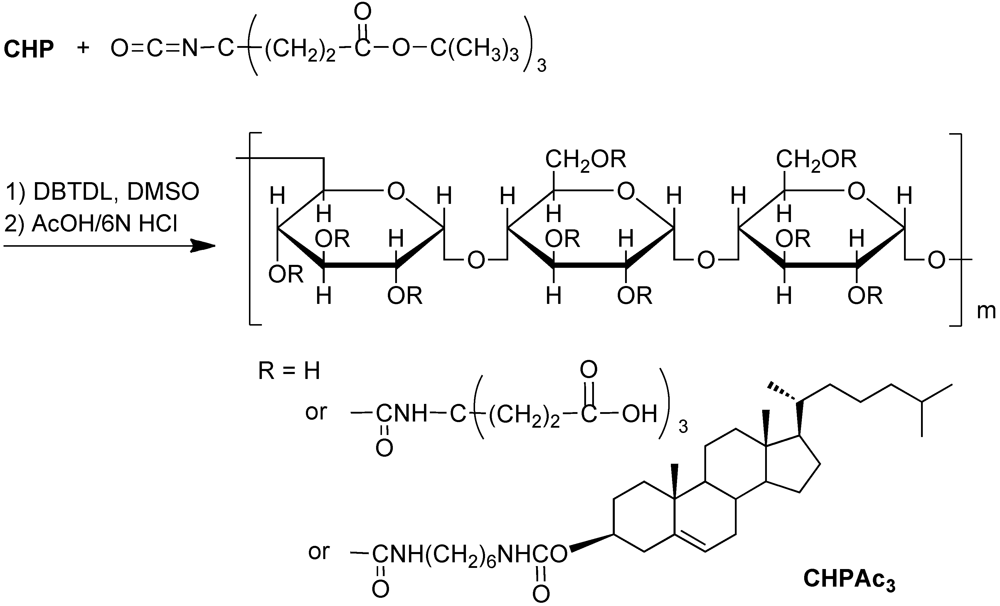 Polymers 04 01056 g002 1024