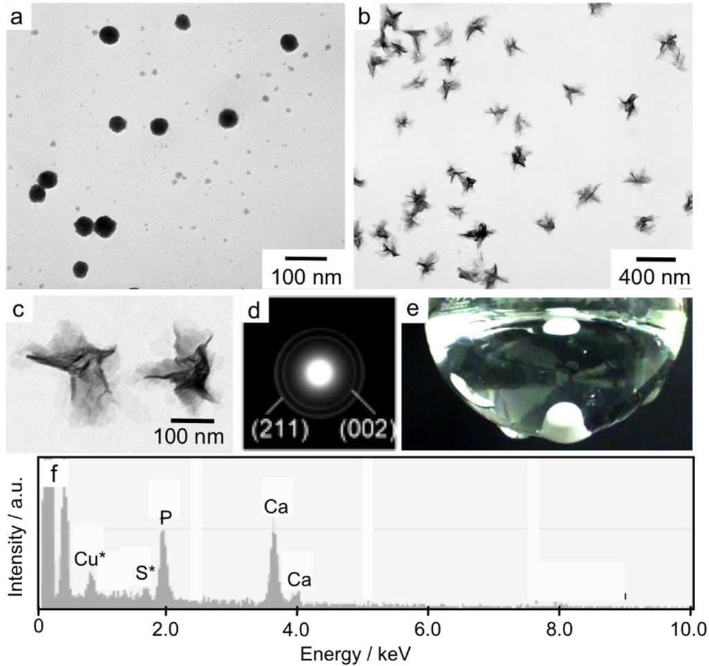 Polymers 04 01056 g004 1024