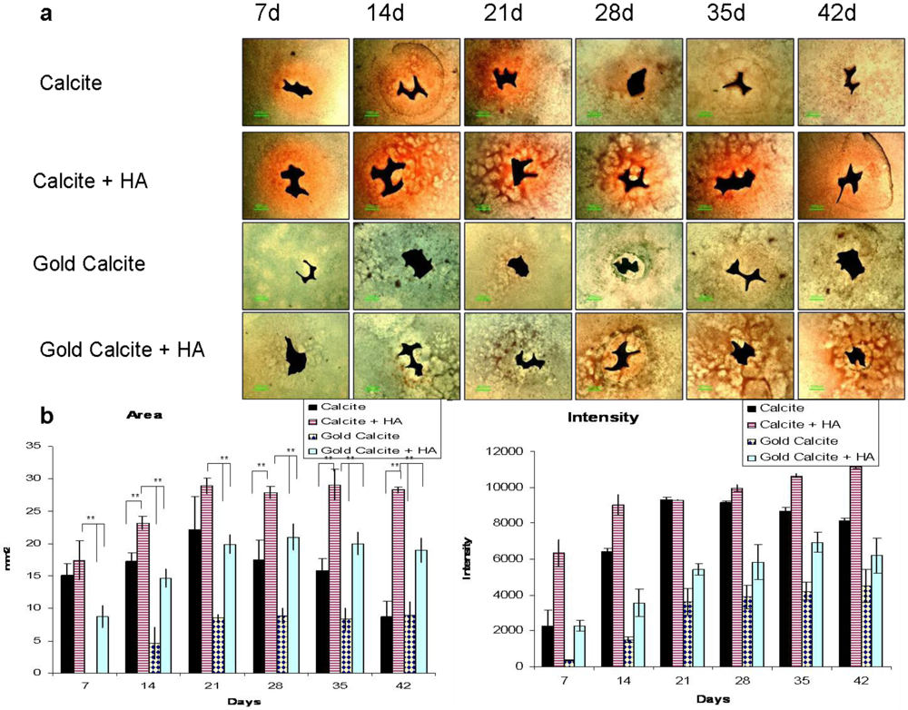 Polymers 04 01065 g004