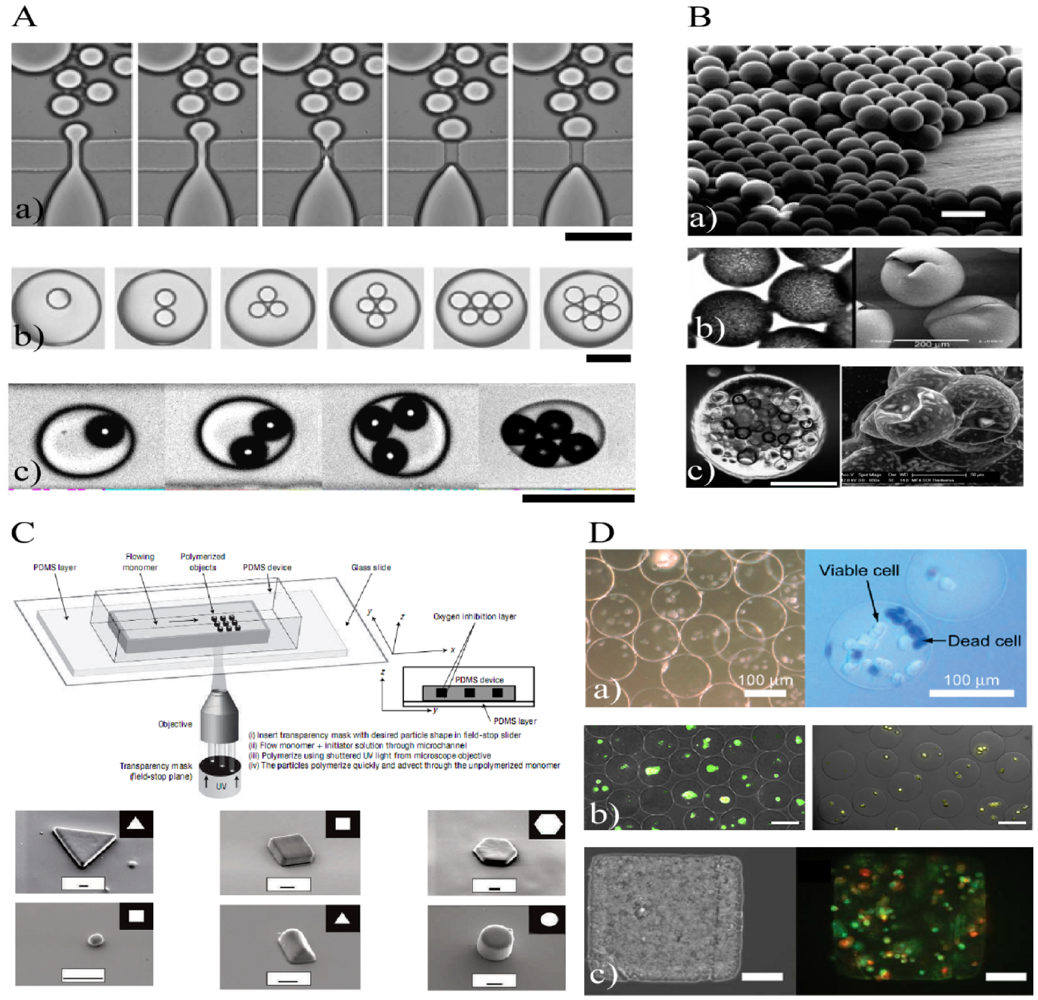 Polymers 04 01084 g001