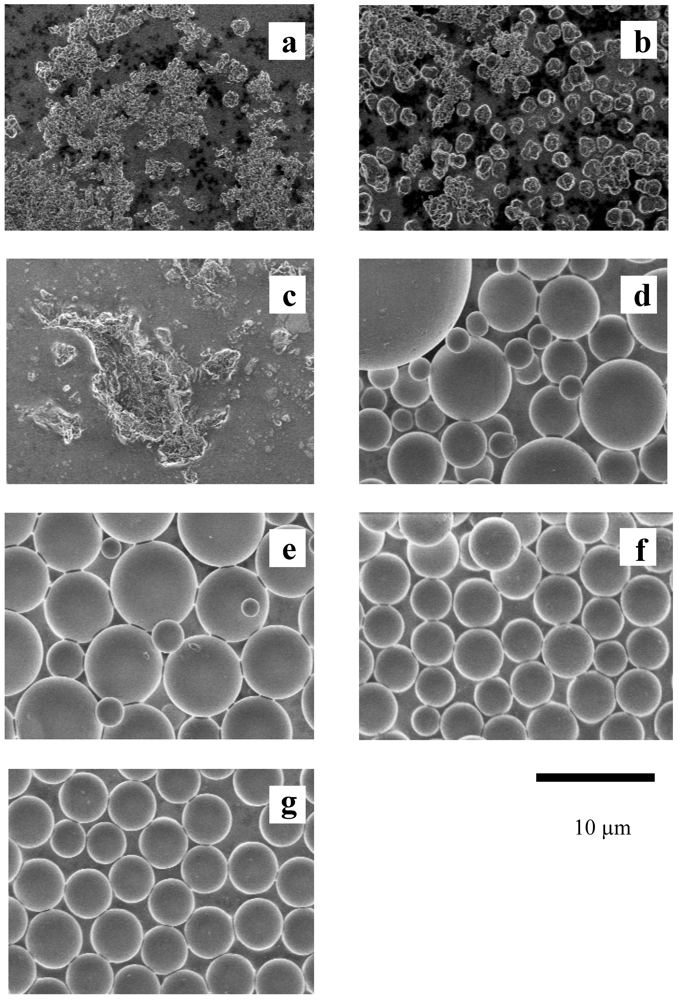 Polymers 04 01125 g022 1024