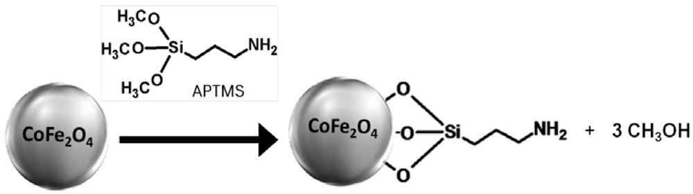 Polymers 04 01157 g001 1024