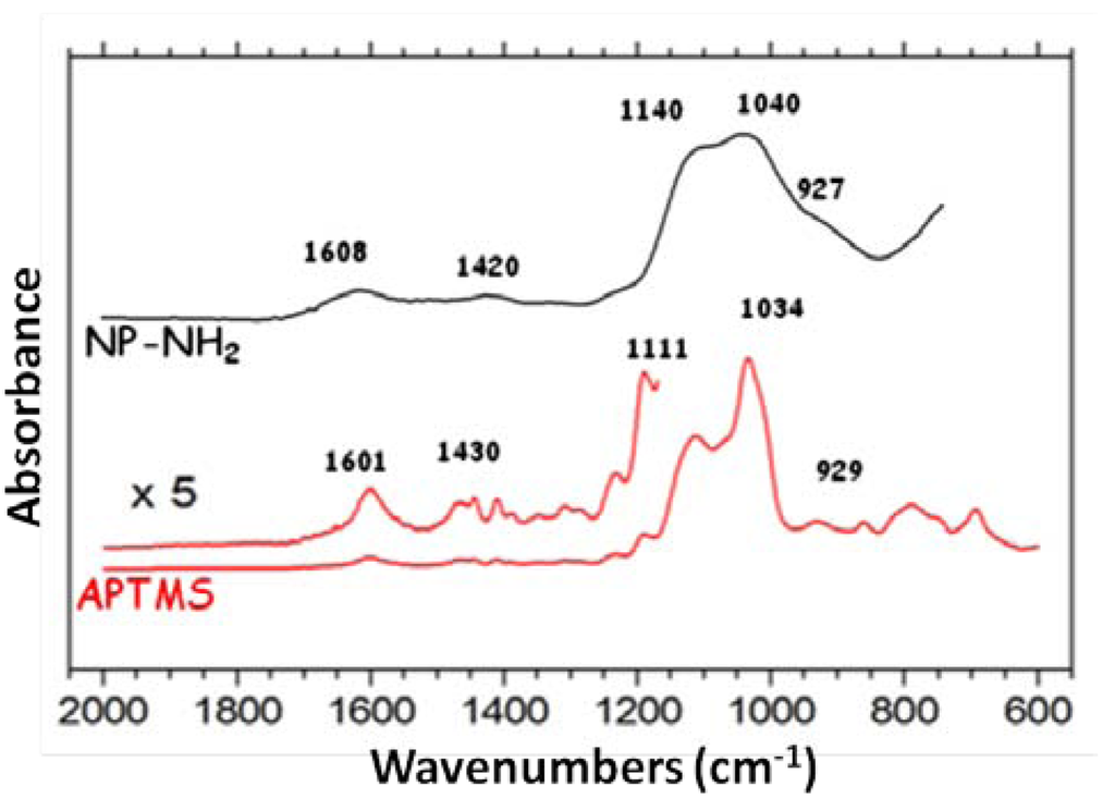 Polymers 04 01157 g002 1024