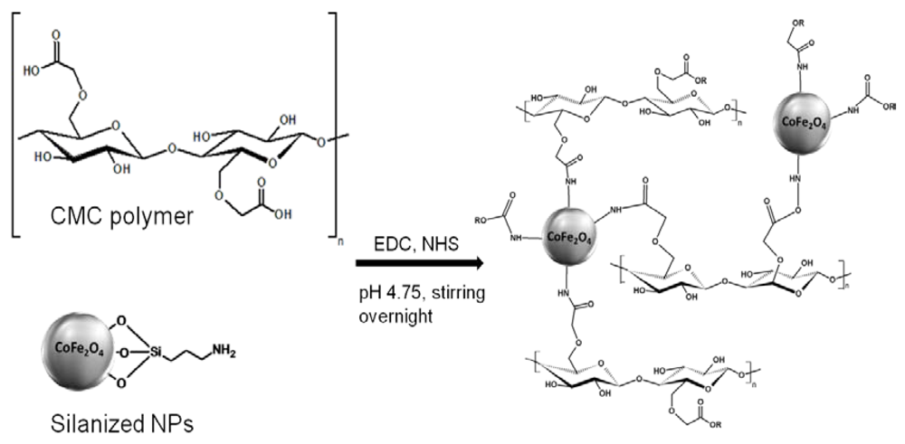 Polymers 04 01157 g006 1024