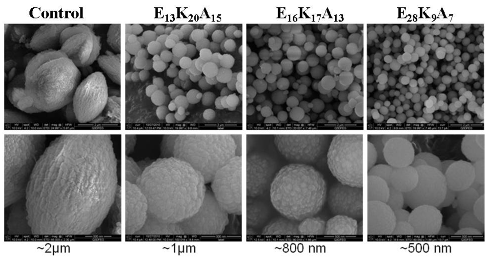Polymers 04 01195 g005 1024