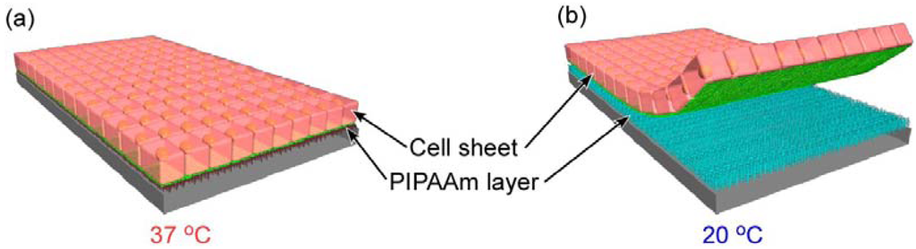 Polymers 04 01478 g001 1024