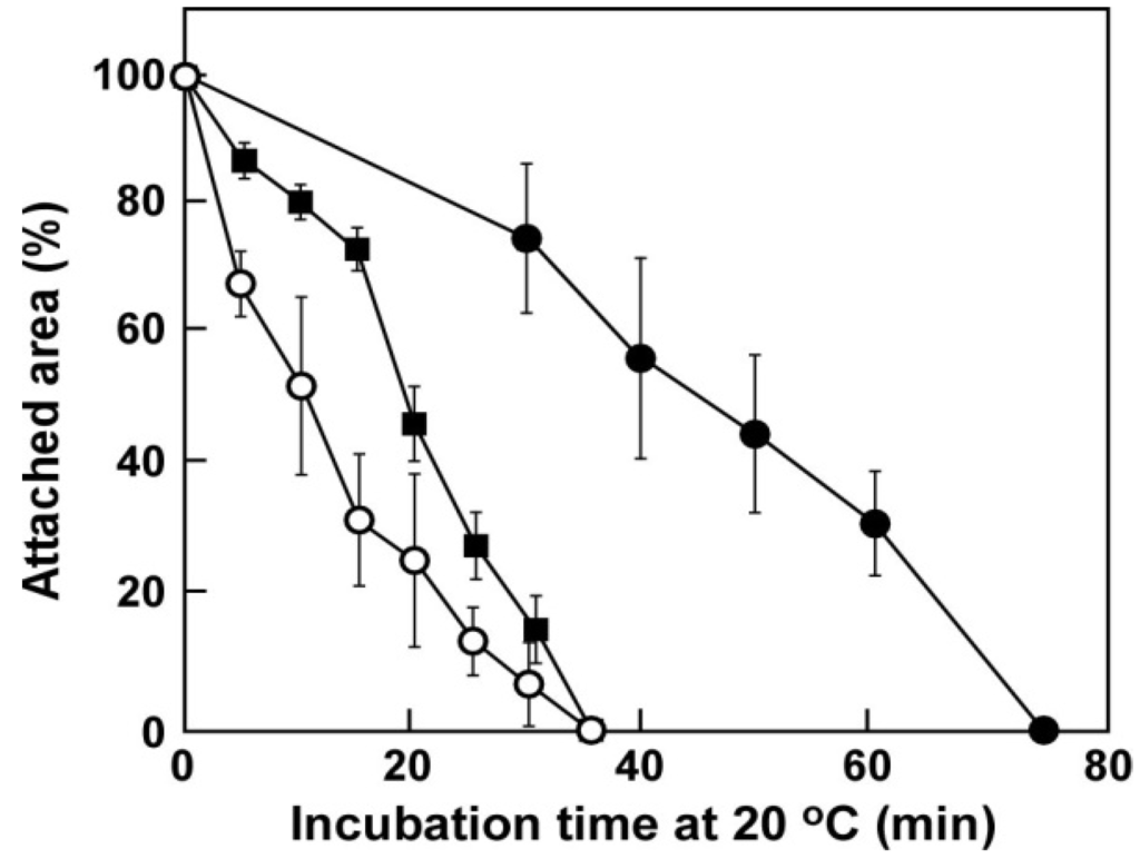 Polymers 04 01478 g005 1024