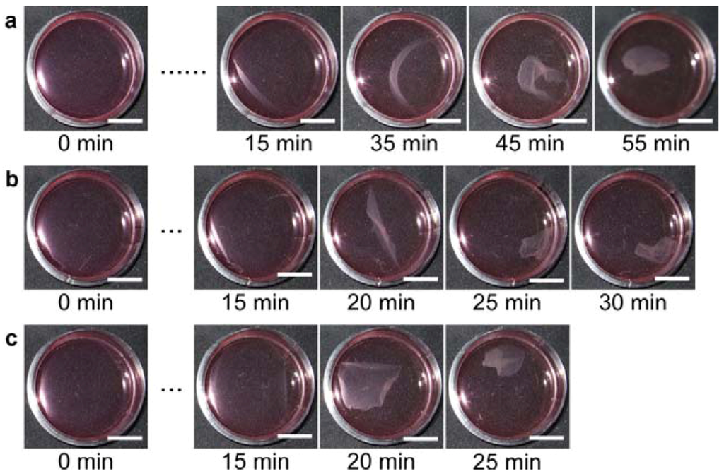 Polymers 04 01478 g007 1024