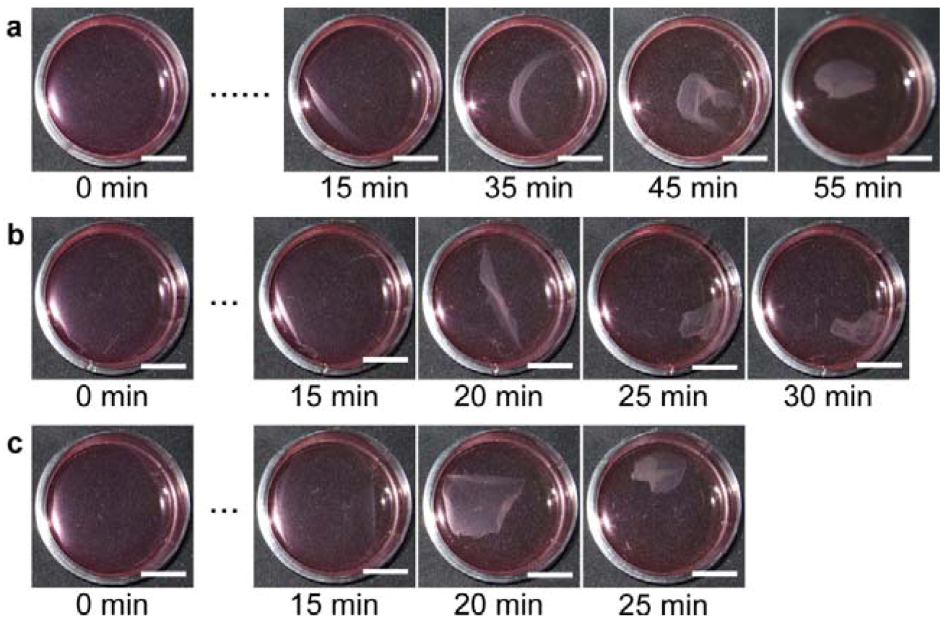 Polymers 04 01478 g007