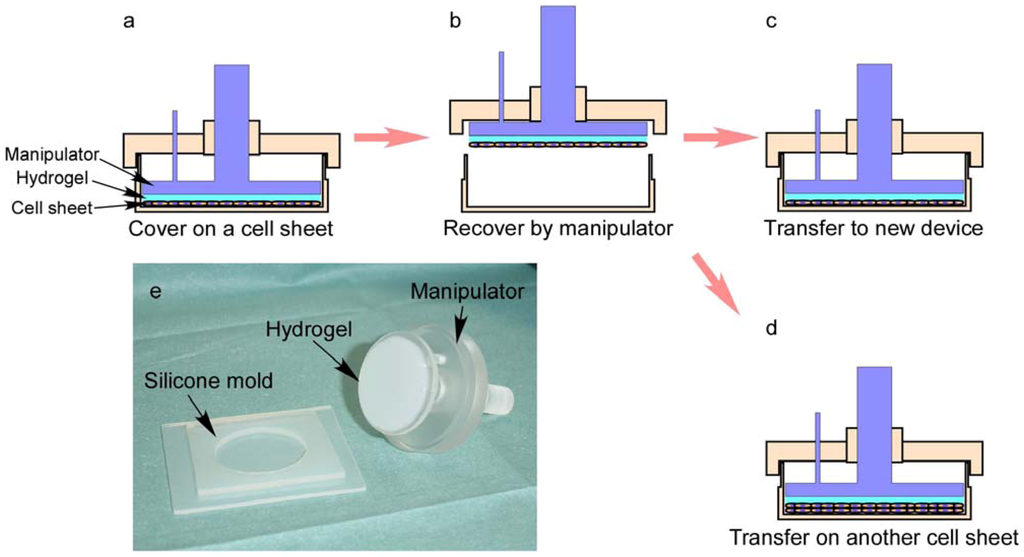 Polymers 04 01478 g008 1024