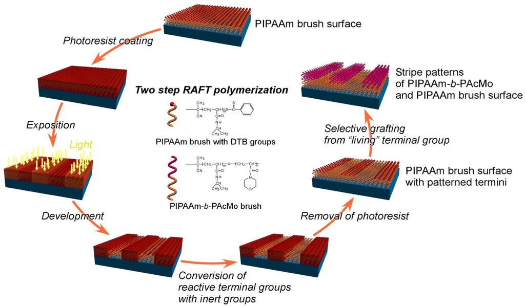 Polymers 04 01478 g011 1024