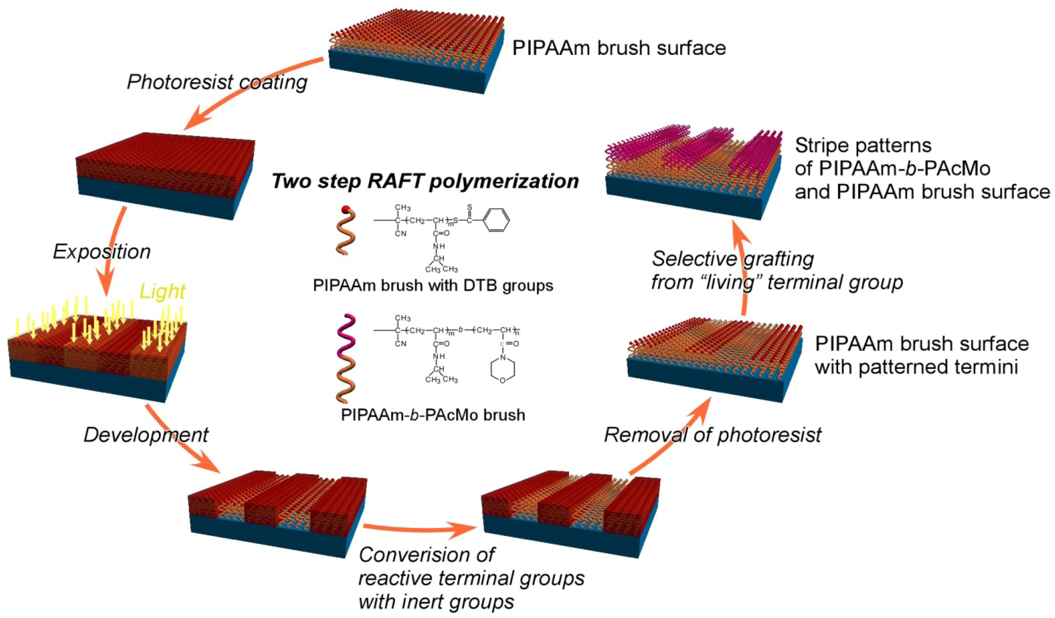 Polymers 04 01478 g011
