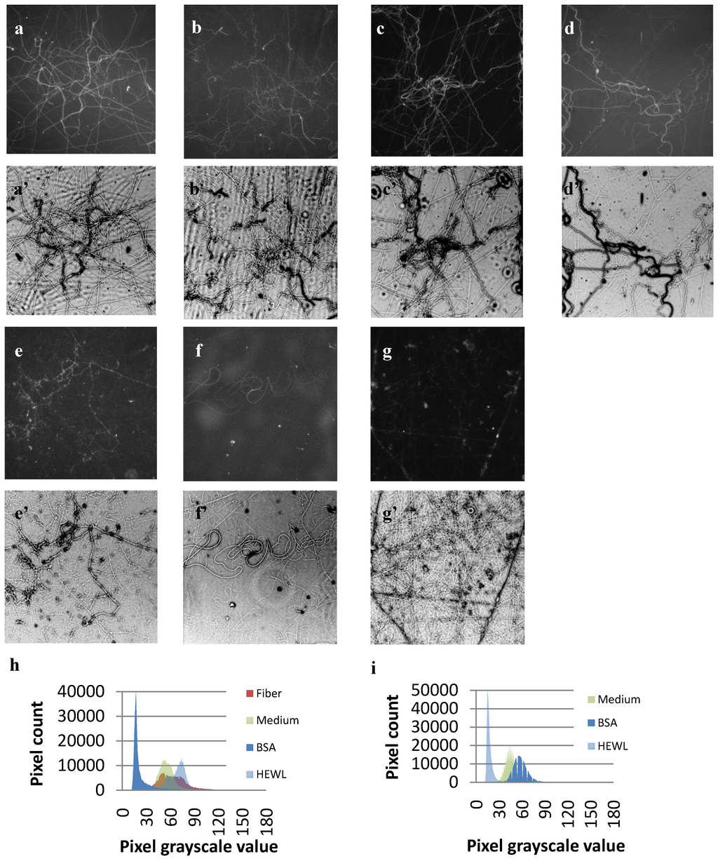 Polymers 04 01535 g005 1024