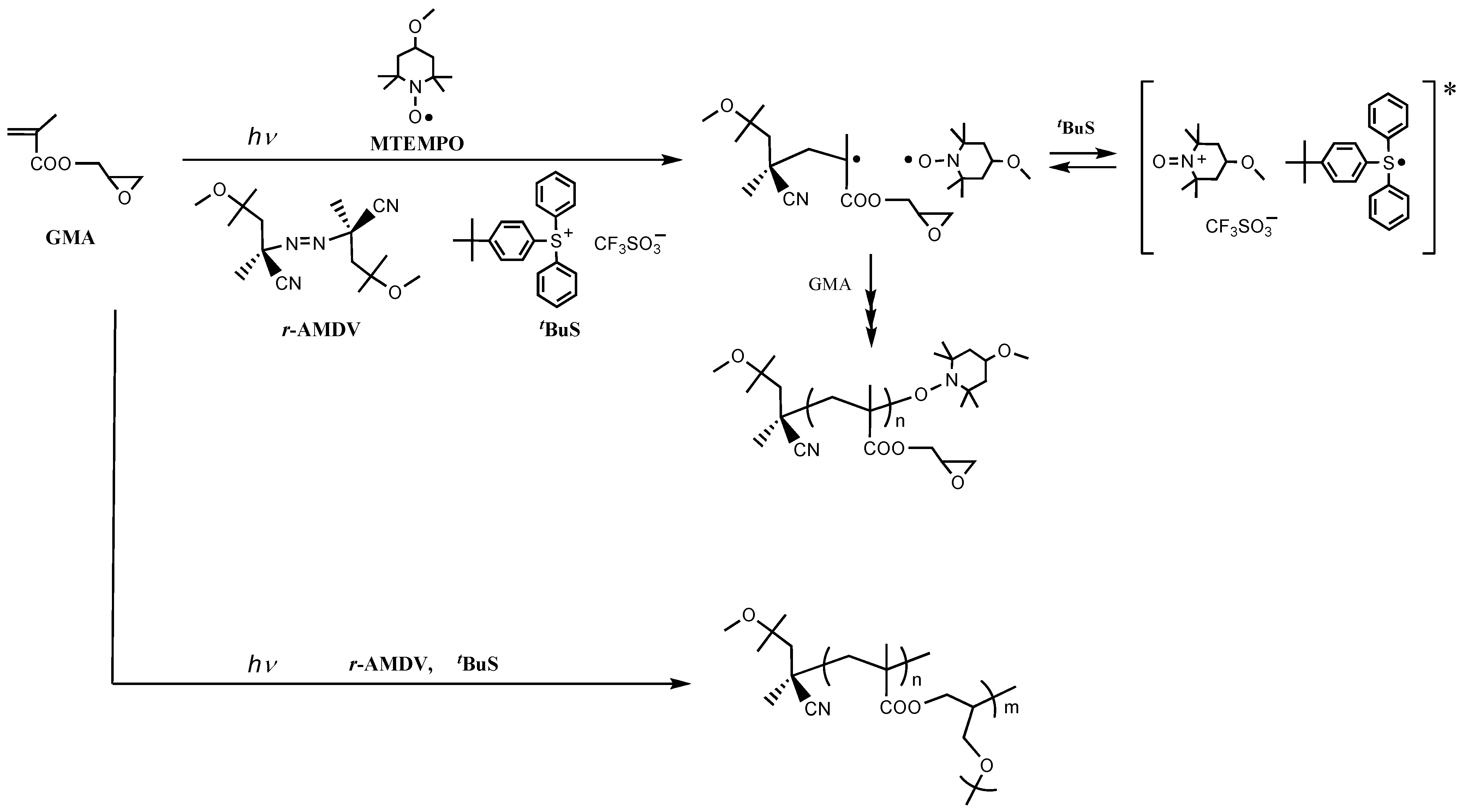 Polymers 04 01580 g005