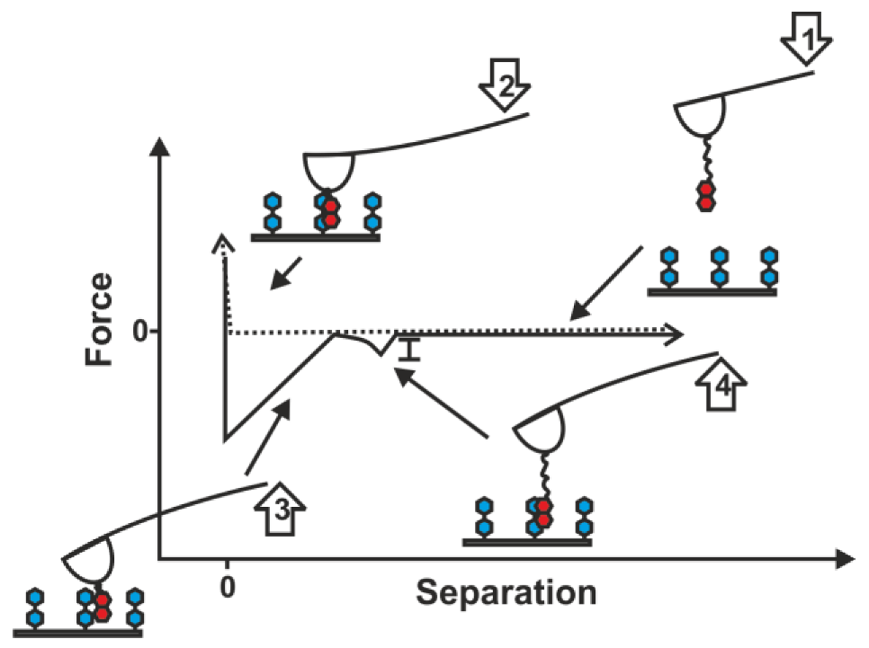 Polymers 05 00269 g002