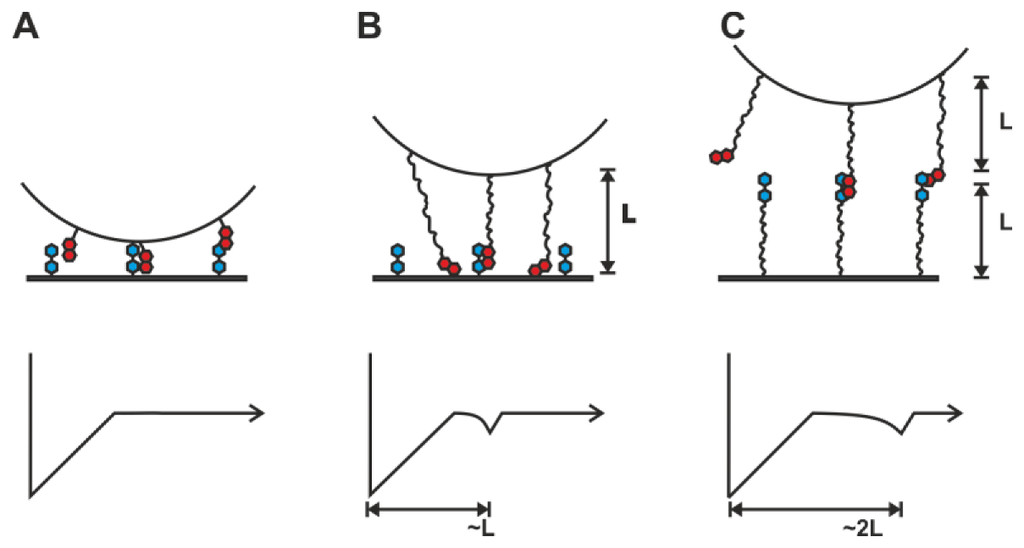 Polymers 05 00269 g003 1024