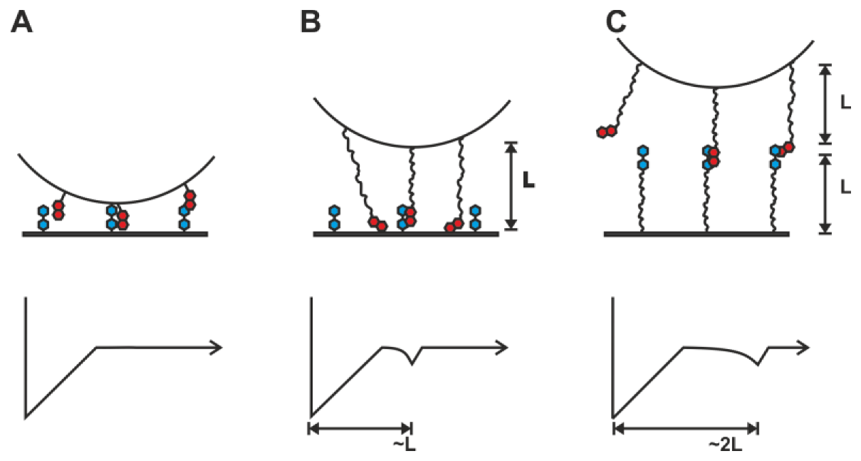 Polymers 05 00269 g003