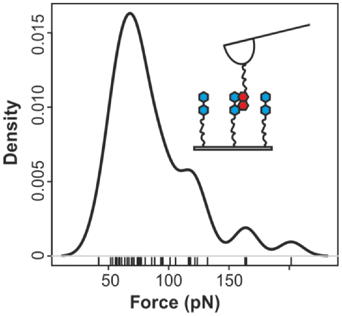 Polymers 05 00269 g004