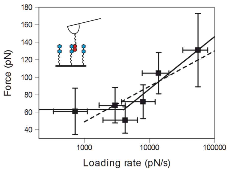 Polymers 05 00269 g005