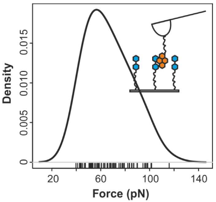 Polymers 05 00269 g006 1024