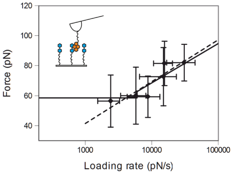 Polymers 05 00269 g007 1024