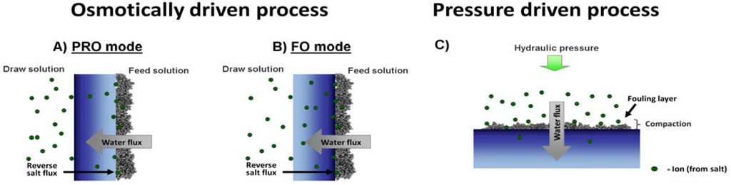 Polymers 05 00303 g006 1024