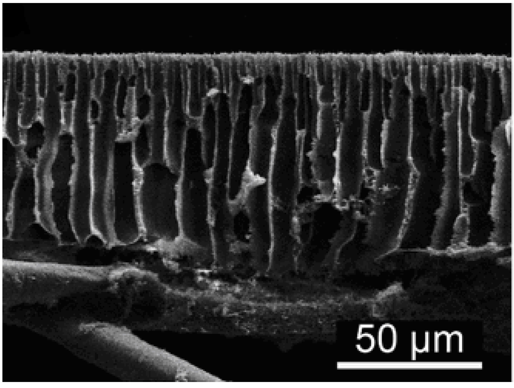 Polymers 05 00303 g009 1024