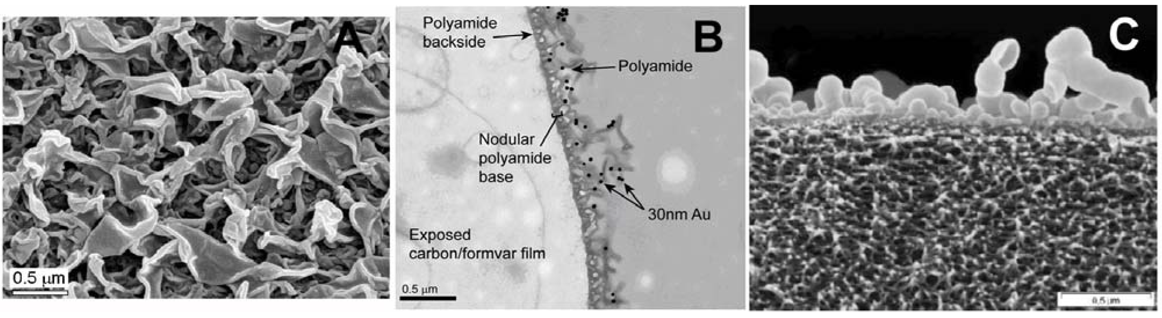 Polymers 05 00303 g010