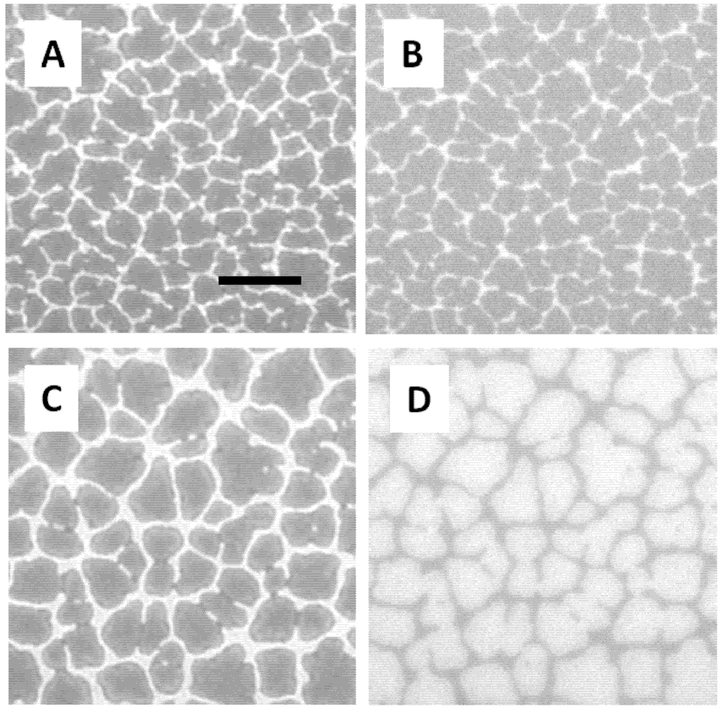 Polymers 05 00404 g003 1024