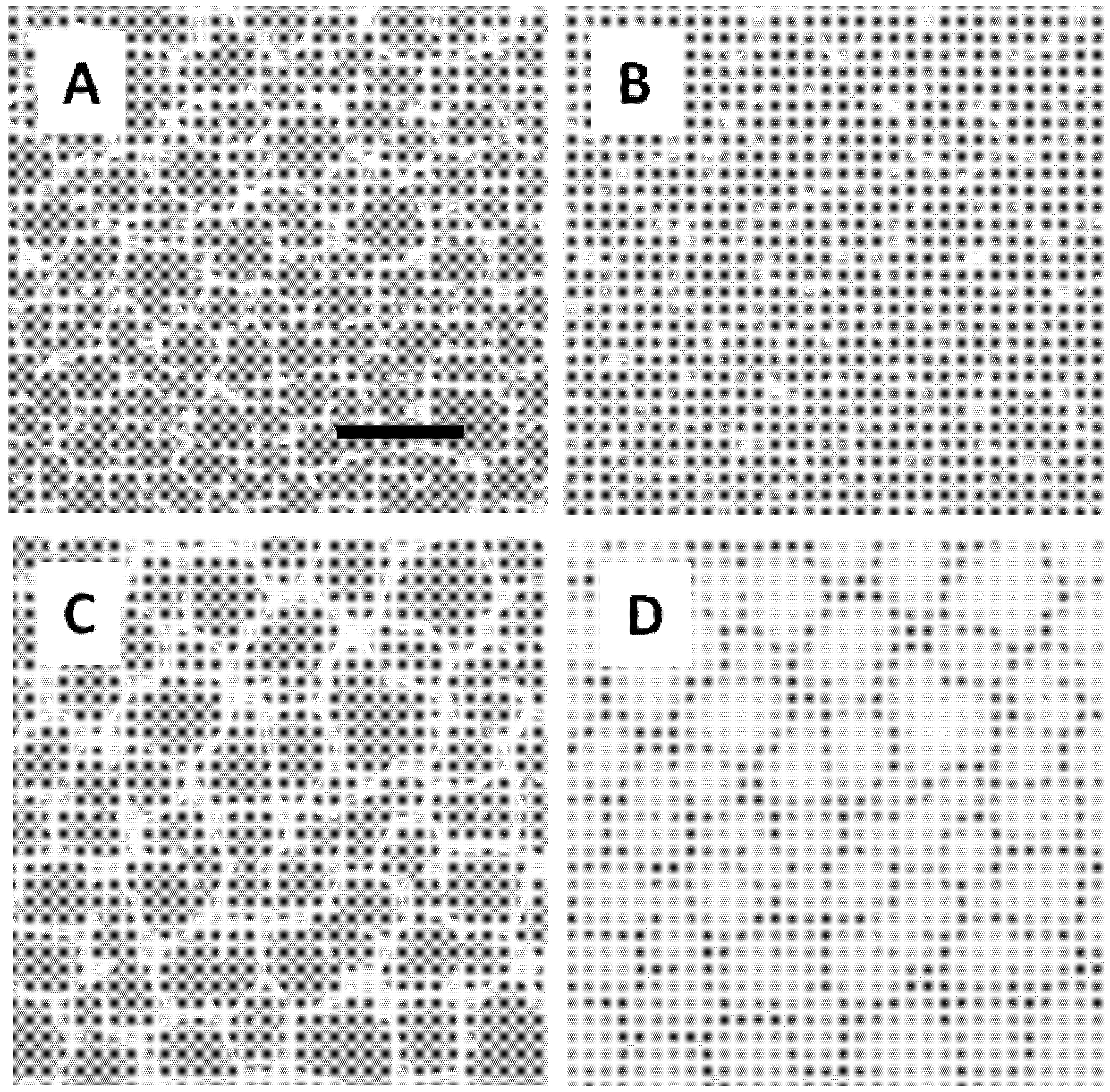 Polymers 05 00404 g003