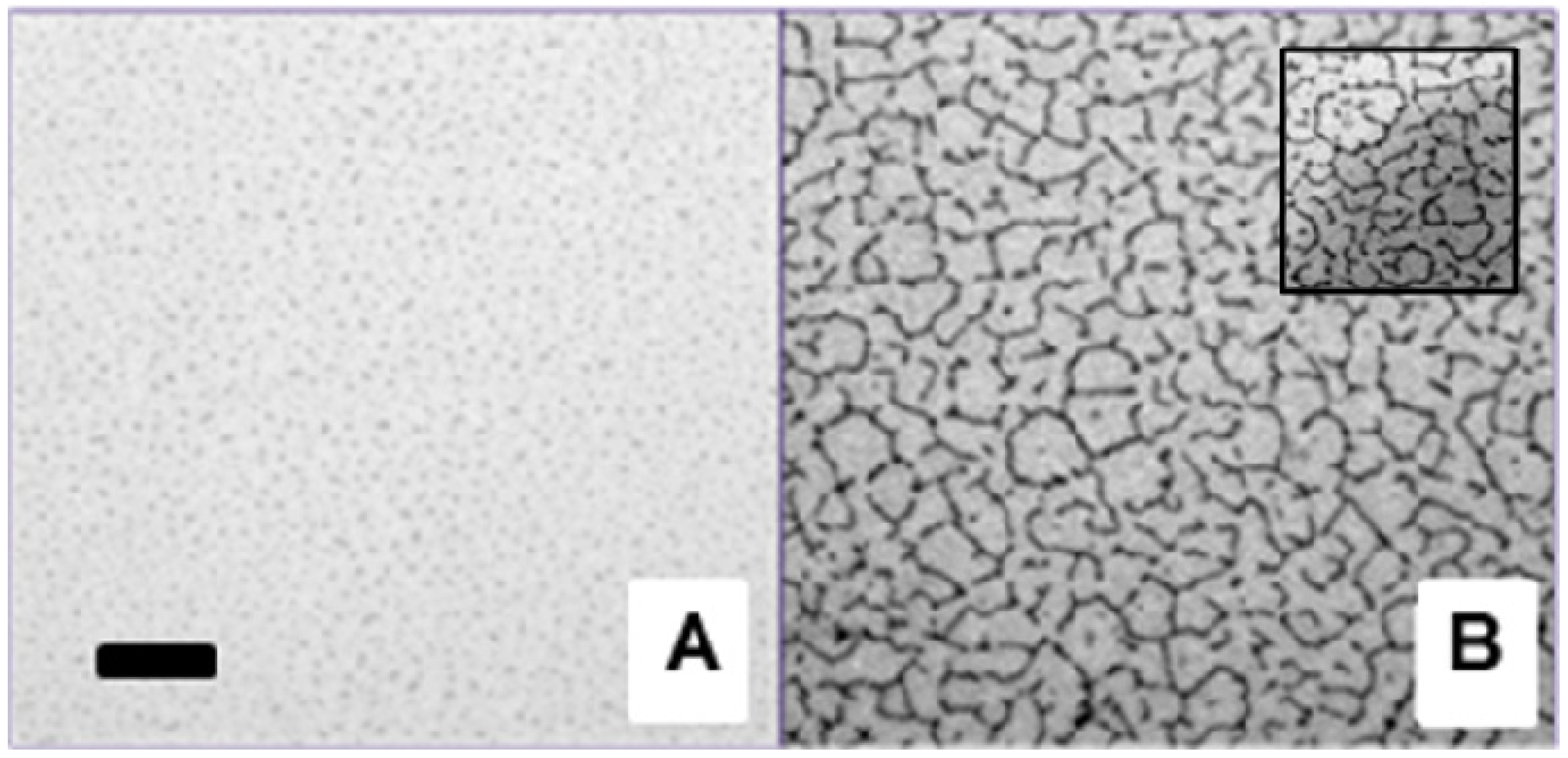 Polymers 05 00404 g004