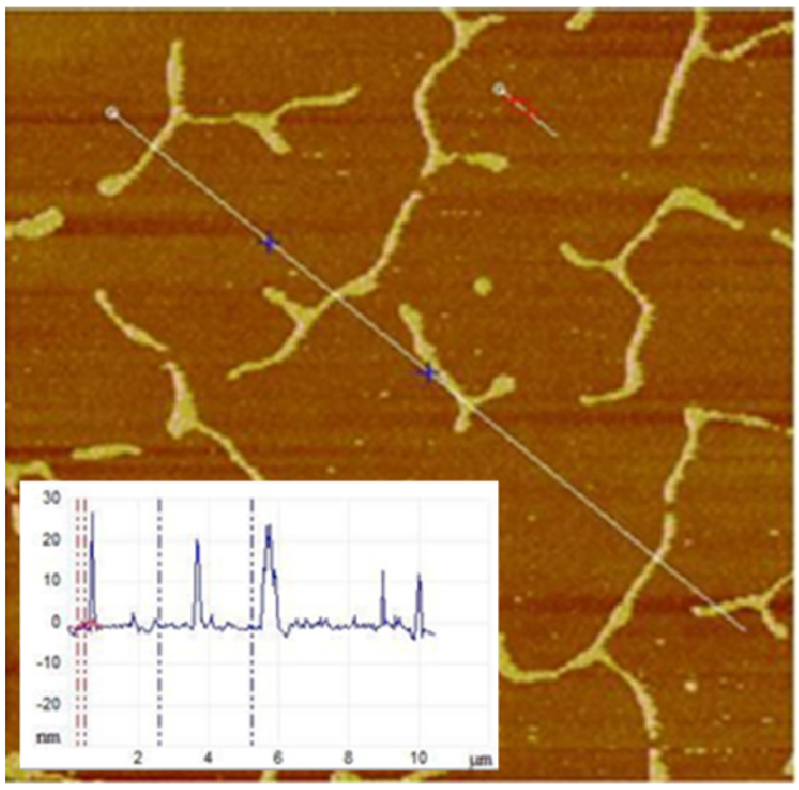 Polymers 05 00404 g005